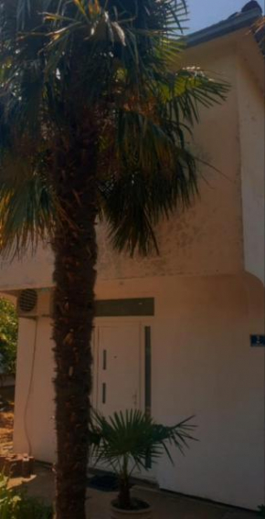 Apartman Danica